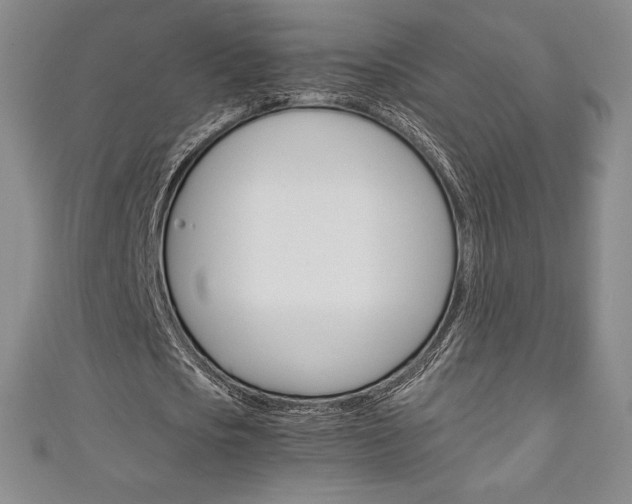 X0000111140721200906301016