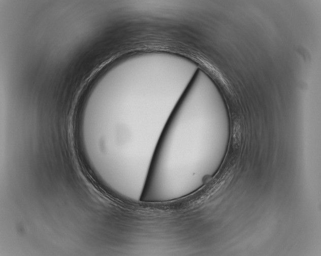 X0000111140722200906301016