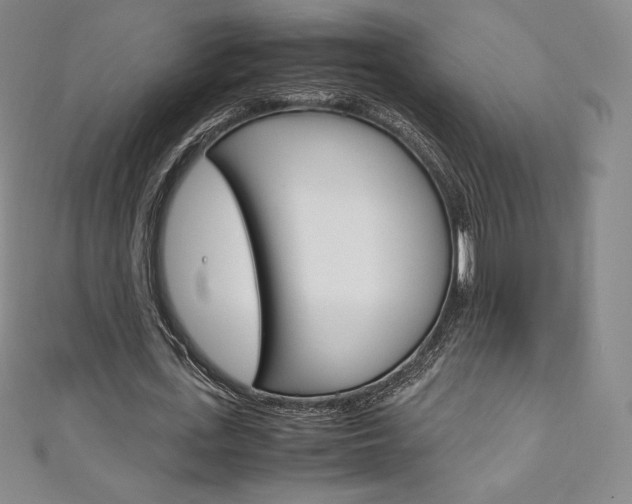 X0000111140723200906301016