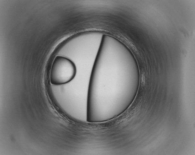 X0000111140724200906301016