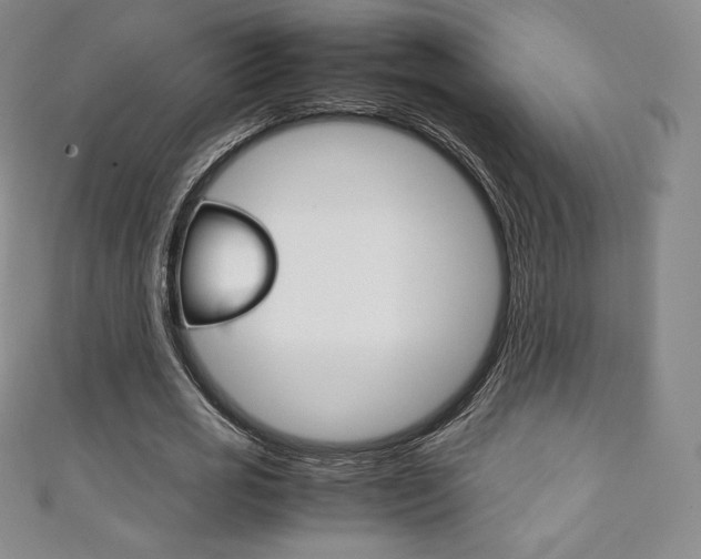 X0000111140725200906301016
