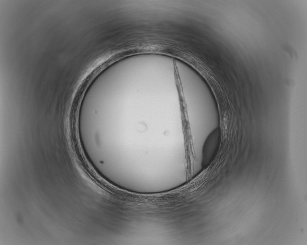 X0000111140726200906301016