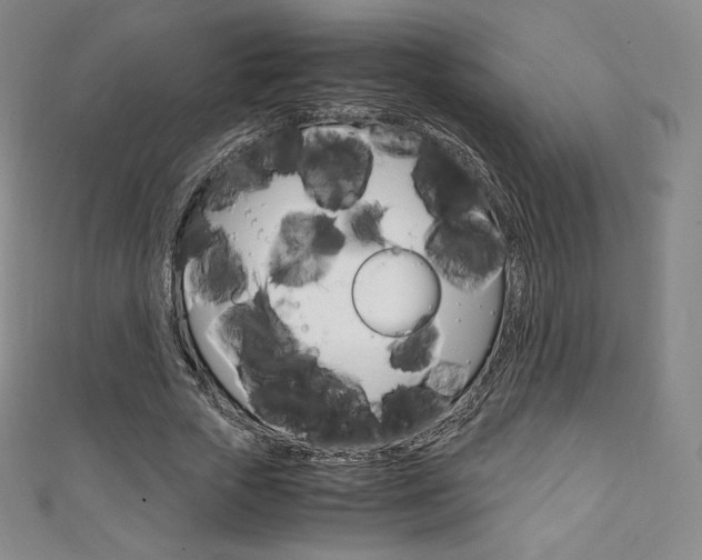 X0000111140729200906301016