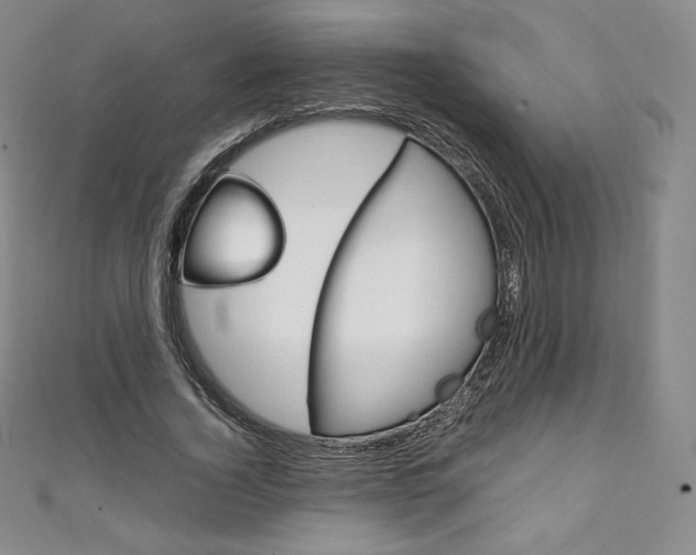 X0000111140732200906301016