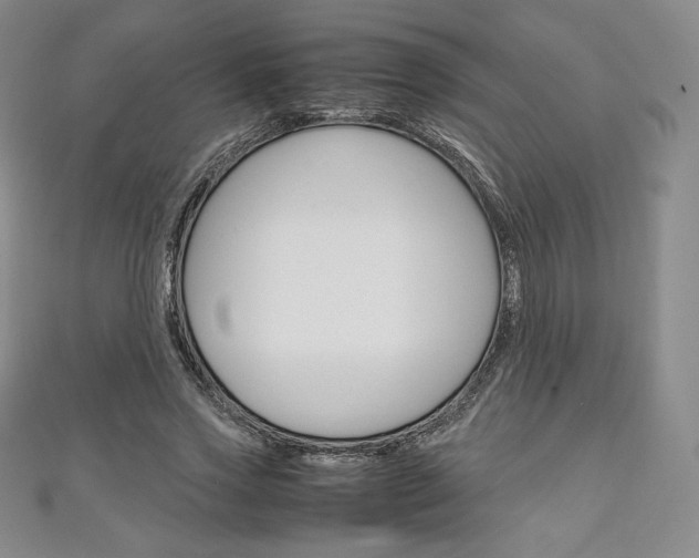 X0000111140733200906301016
