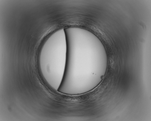 X0000111140735200906301016