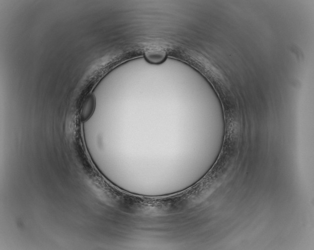 X0000111140736200906301016