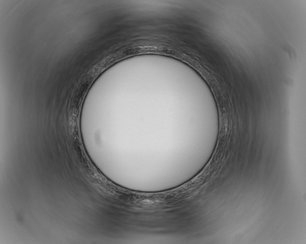 X0000111140737200906301016