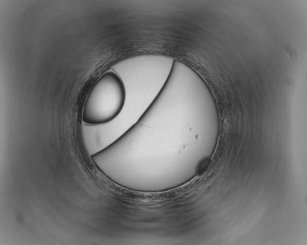 X0000111140739200906301016