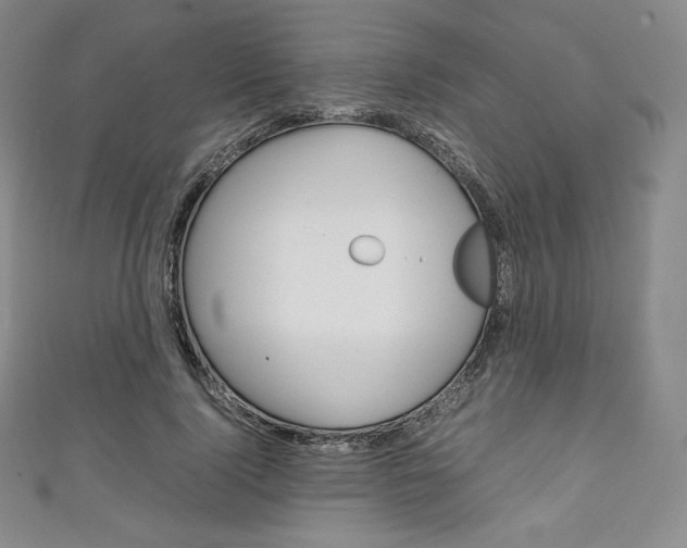 X0000111140740200906301016