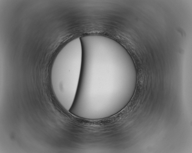 X0000111140743200906301016