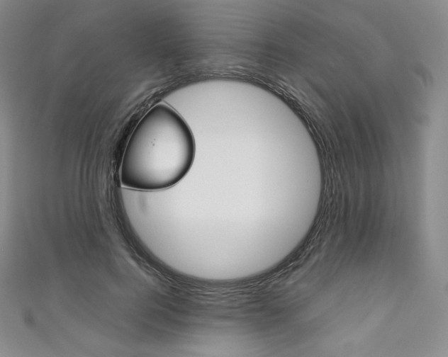 X0000111140744200906301016