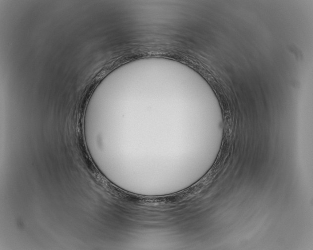 X0000111140746200906301016