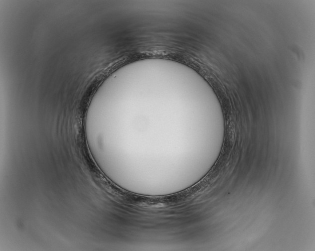 X0000111140747200906301017