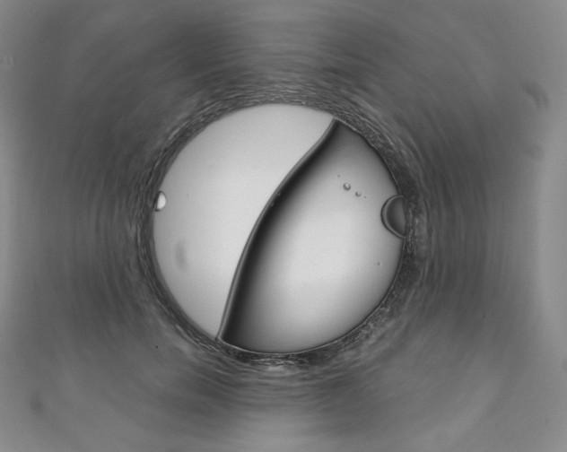 X0000111140750200906301017