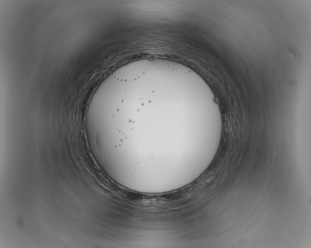 X0000111140752200906301017
