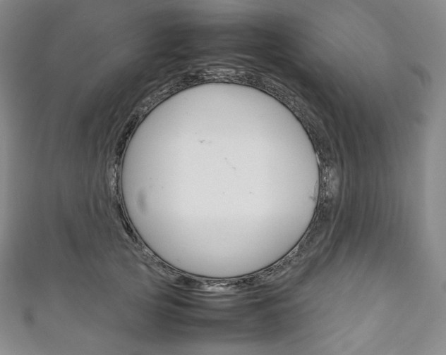 X0000111140753200906301017