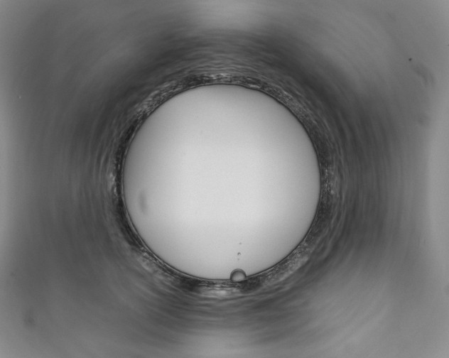 X0000111140754200906301017