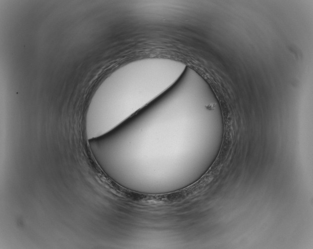 X0000111140756200906301017