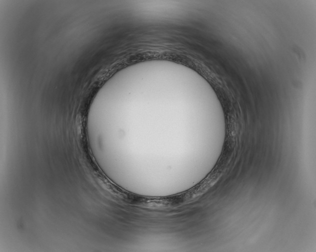 X0000111140758200906301017