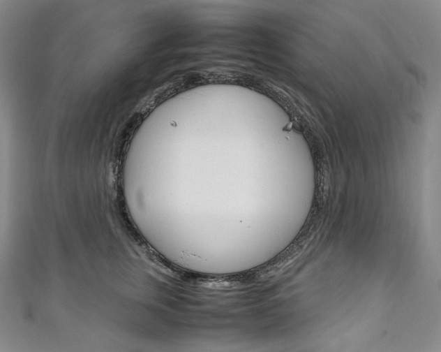 X0000111140759200906301017