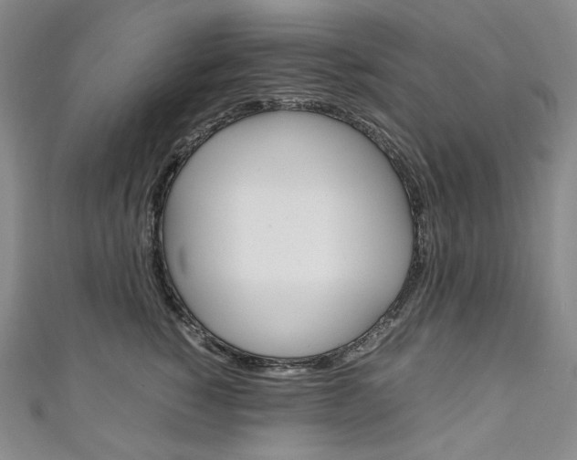 X0000111140760200906301017
