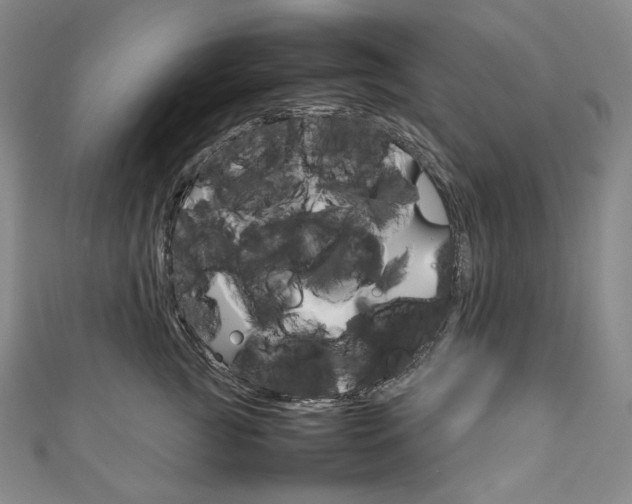 X0000111140761200906301017