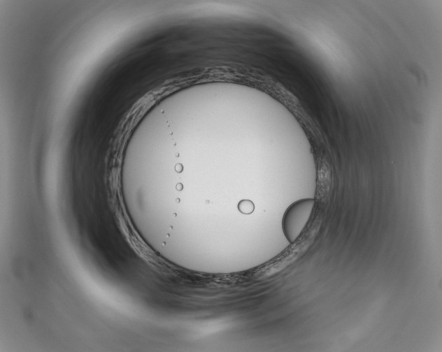 X0000111140765200906301017