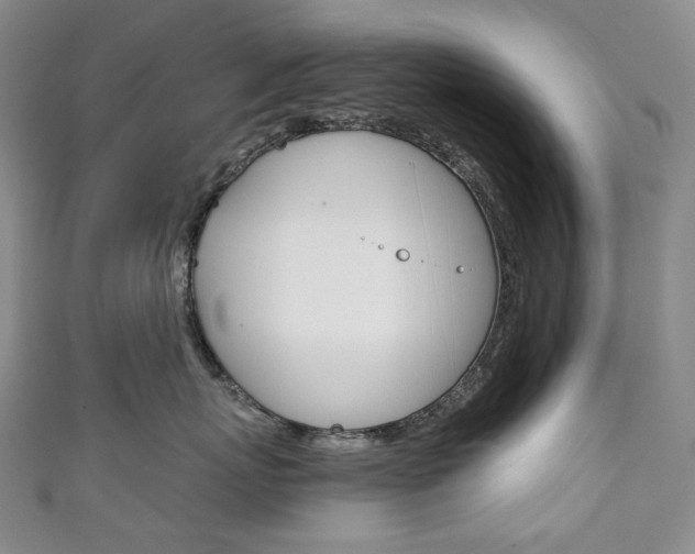 X0000111140767200906301017