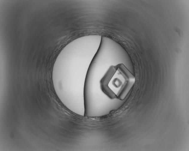 X0000111140768200906301017