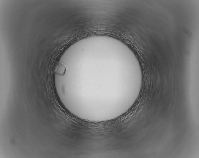 X0000111140769200906301016