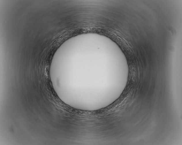 X0000111140770200906301016