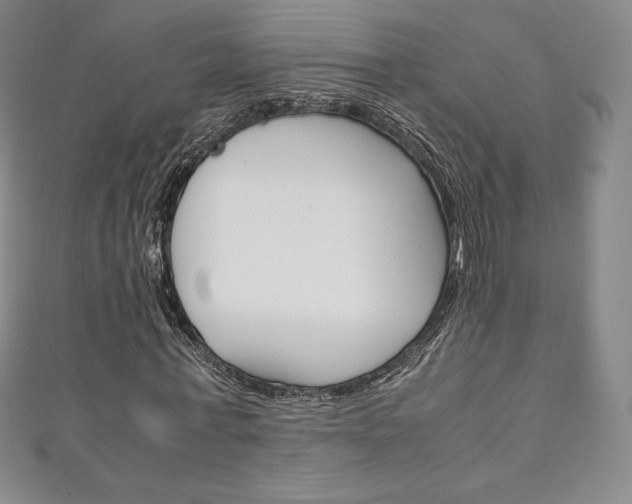X0000111140771200906301016