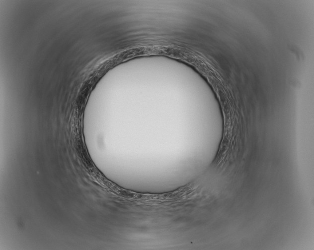 X0000111140773200906301016
