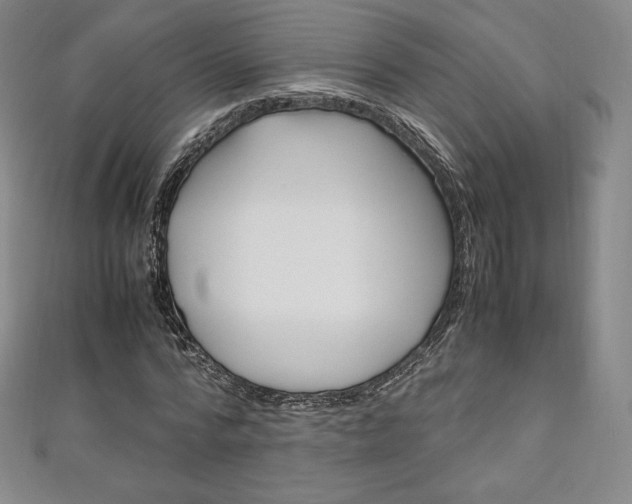 X0000111140776200906301016