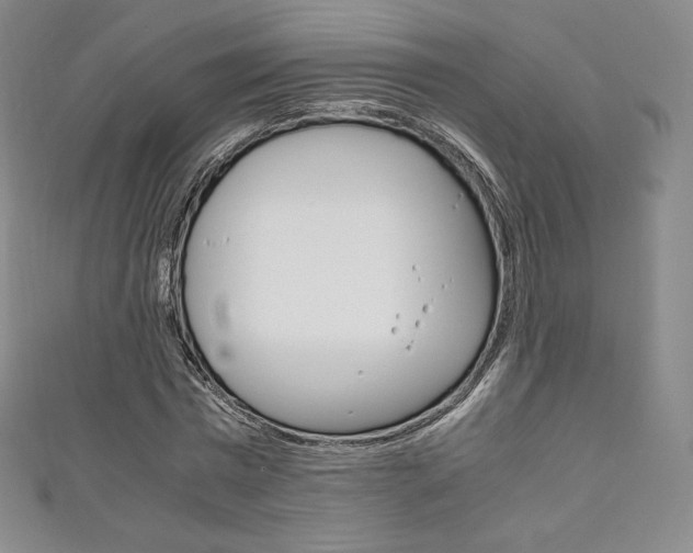 X0000111140777200906301016