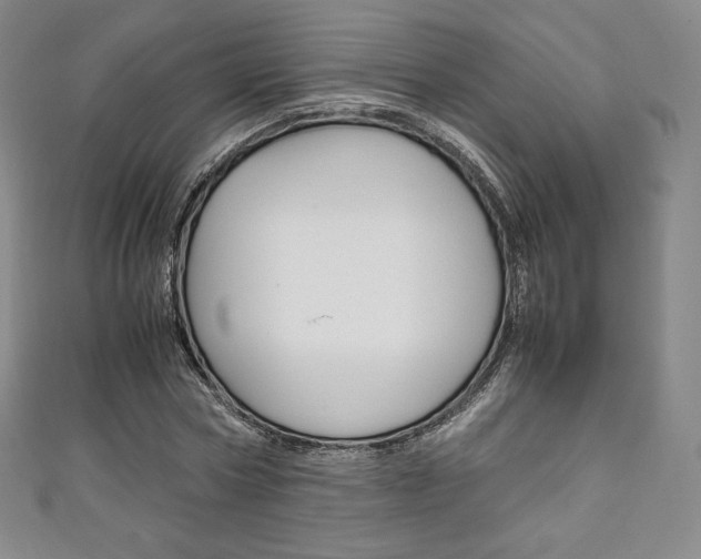 X0000111140778200906301016