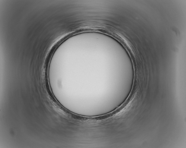 X0000111140779200906301016