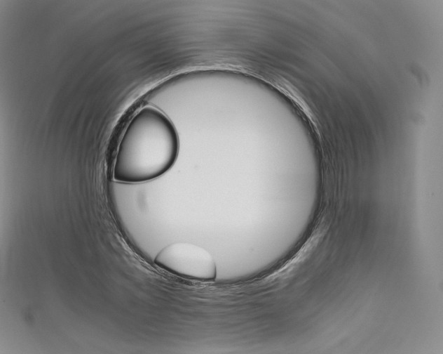 X0000111140781200906301016