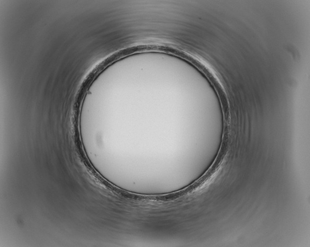 X0000111140783200906301016