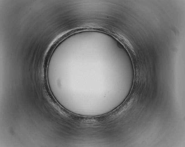 X0000111140784200906301016