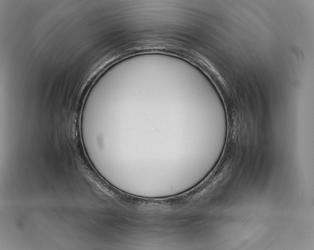 X0000111140786200906301016