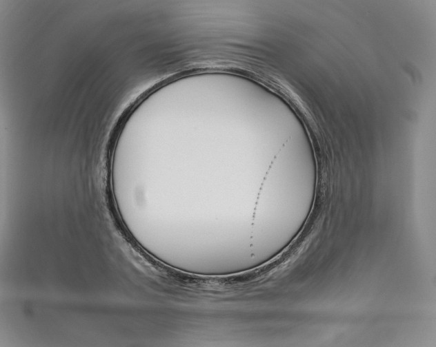 X0000111140787200906301016