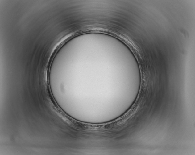 X0000111140790200906301016