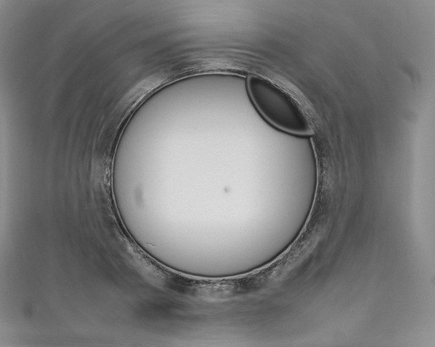 X0000111140793200906301016
