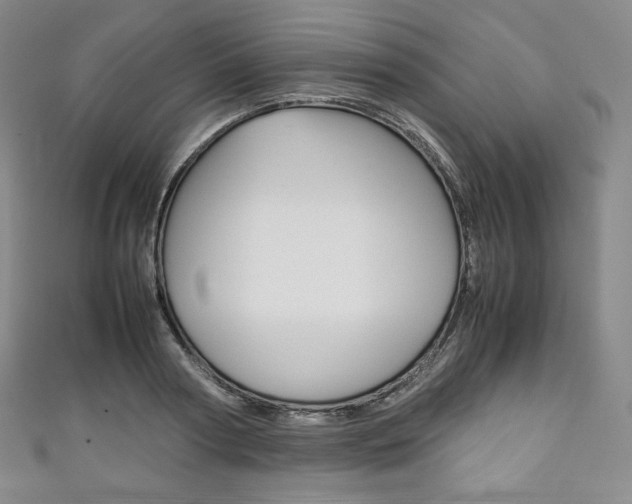 X0000111140794200906301016