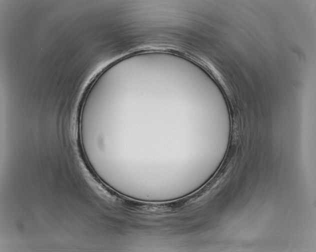 X0000111140795200906301016