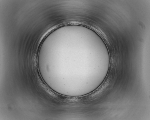 X0000111140798200906301016