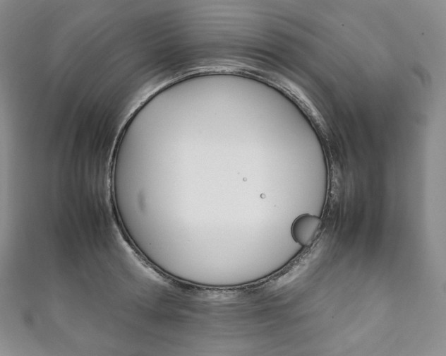 X0000111140802200906301016