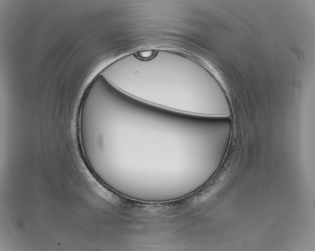 X0000111140803200906301016